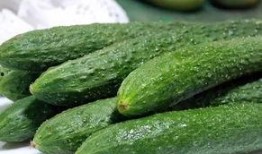 最新吃瓜爆料超劲爆黄瓜,揭秘超劲爆吃瓜爆料背后的真相